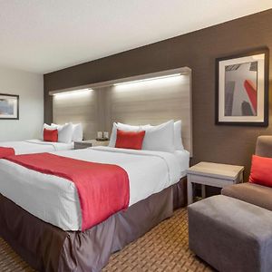 Queen Room Two Queen Beds Pet Friendly or Non-Smoking